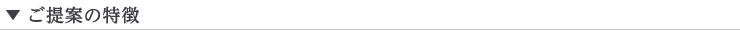 ご提案の特徴